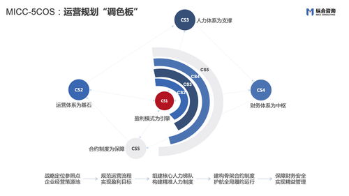 纵合咨询micc 企业战略定位及管理咨询领域的特色品质企业